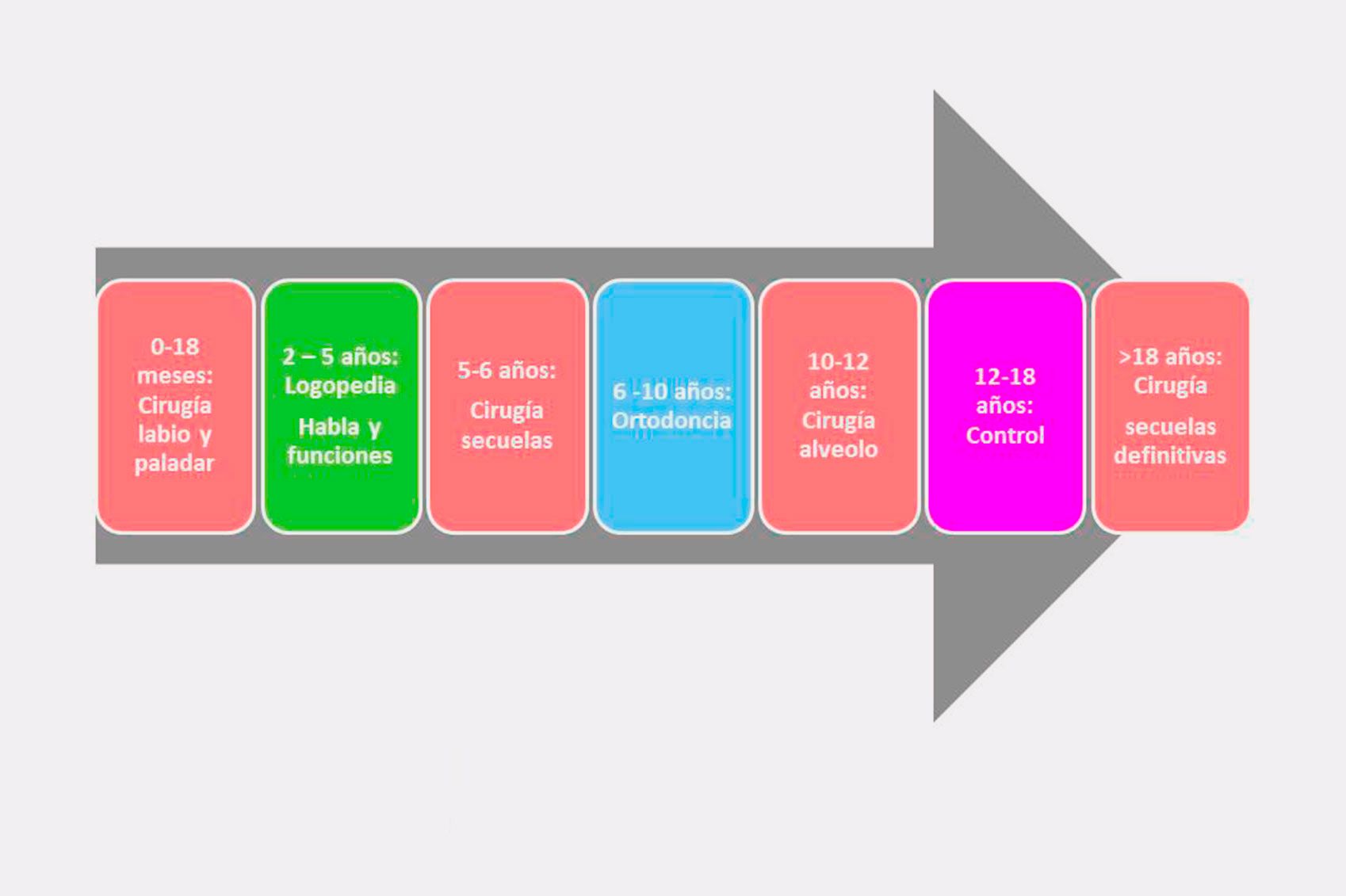 Esquema del tratamiento de Fisuras Labiopalatinas